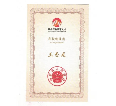 喜报 | 青岛佳恩半导体总经理王丕龙荣获“泰山产业领军人才”称号